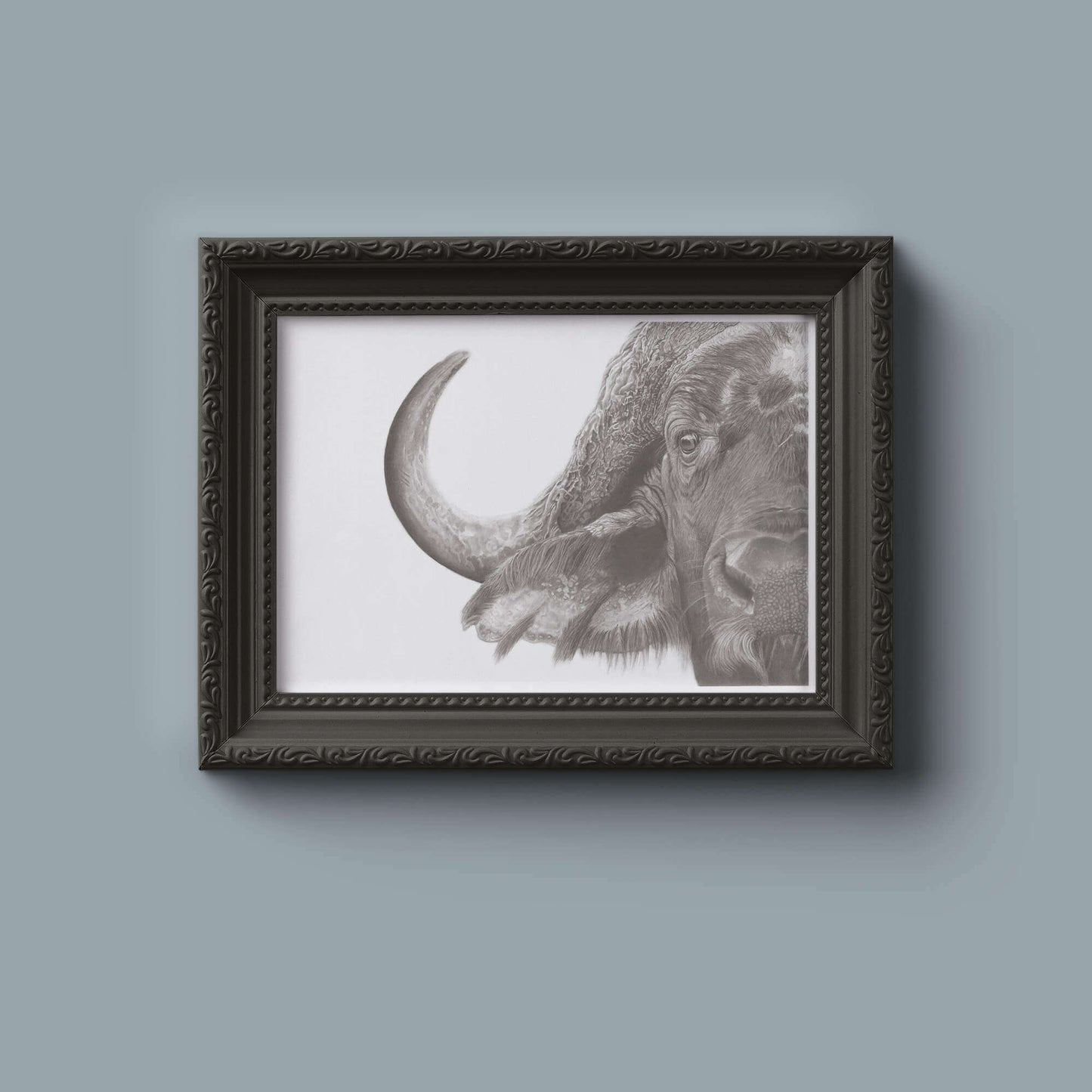 Buffalo drawing in pencil in a frame on a wall