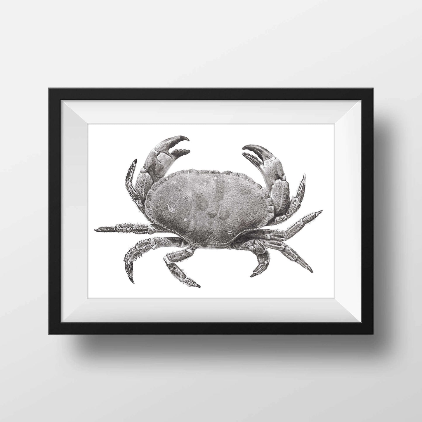 Crab print from a drawing in a frame