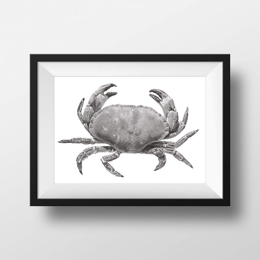 Crab open edition print