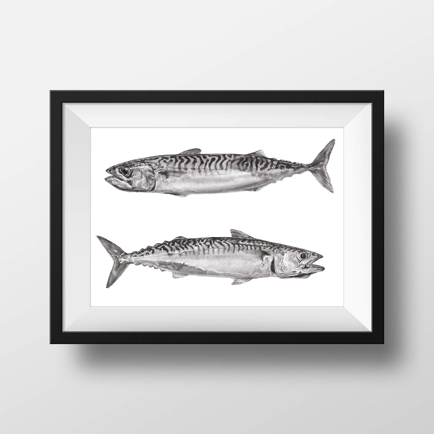 Mackerel print
