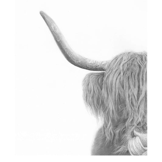 Highland cow edition print