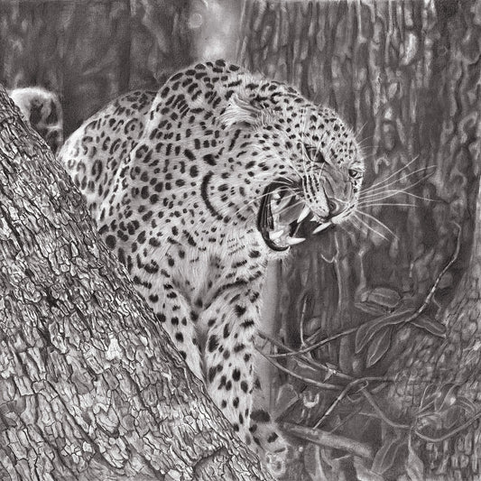 Leopard open edition print