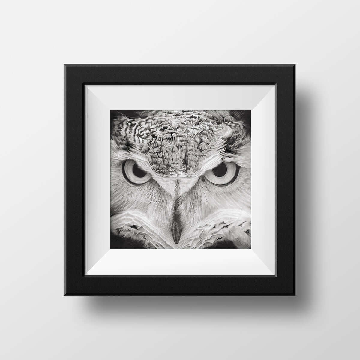 long eared owl drawing in a frame