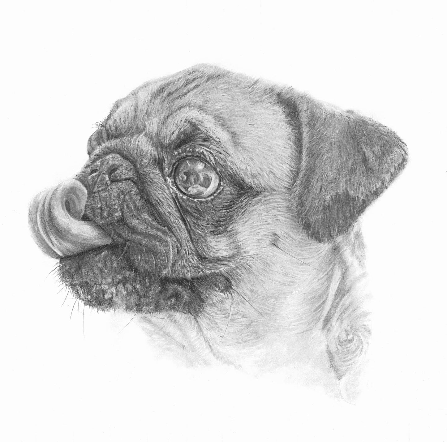 Pug Life Print