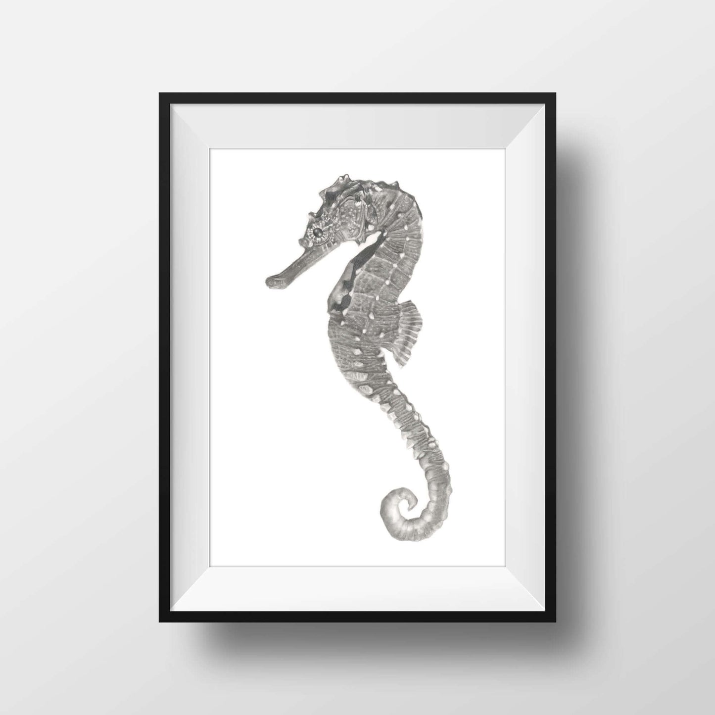 Seahorse art print framed