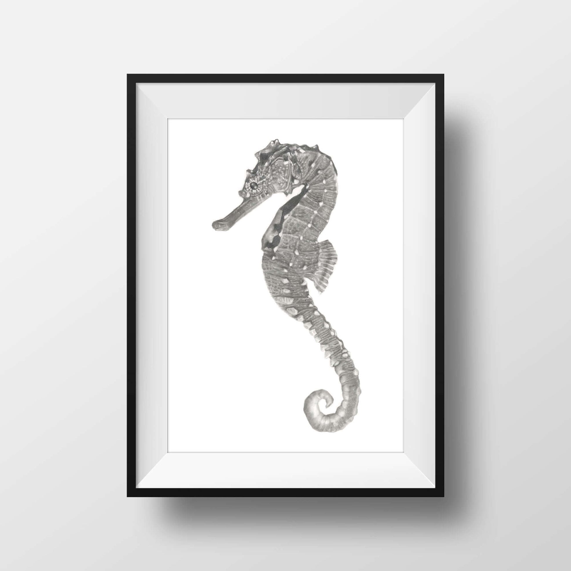 Seahorse art print framed